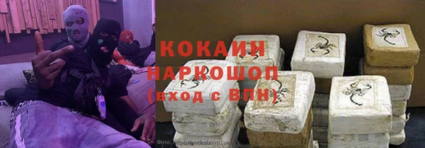шишки Майский