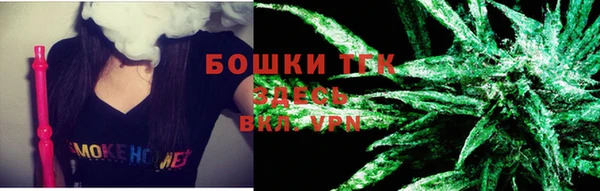 тгк Михайлов