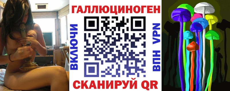 Купить закладки Кизилюрт Галлюциногенные грибы Psilocybe